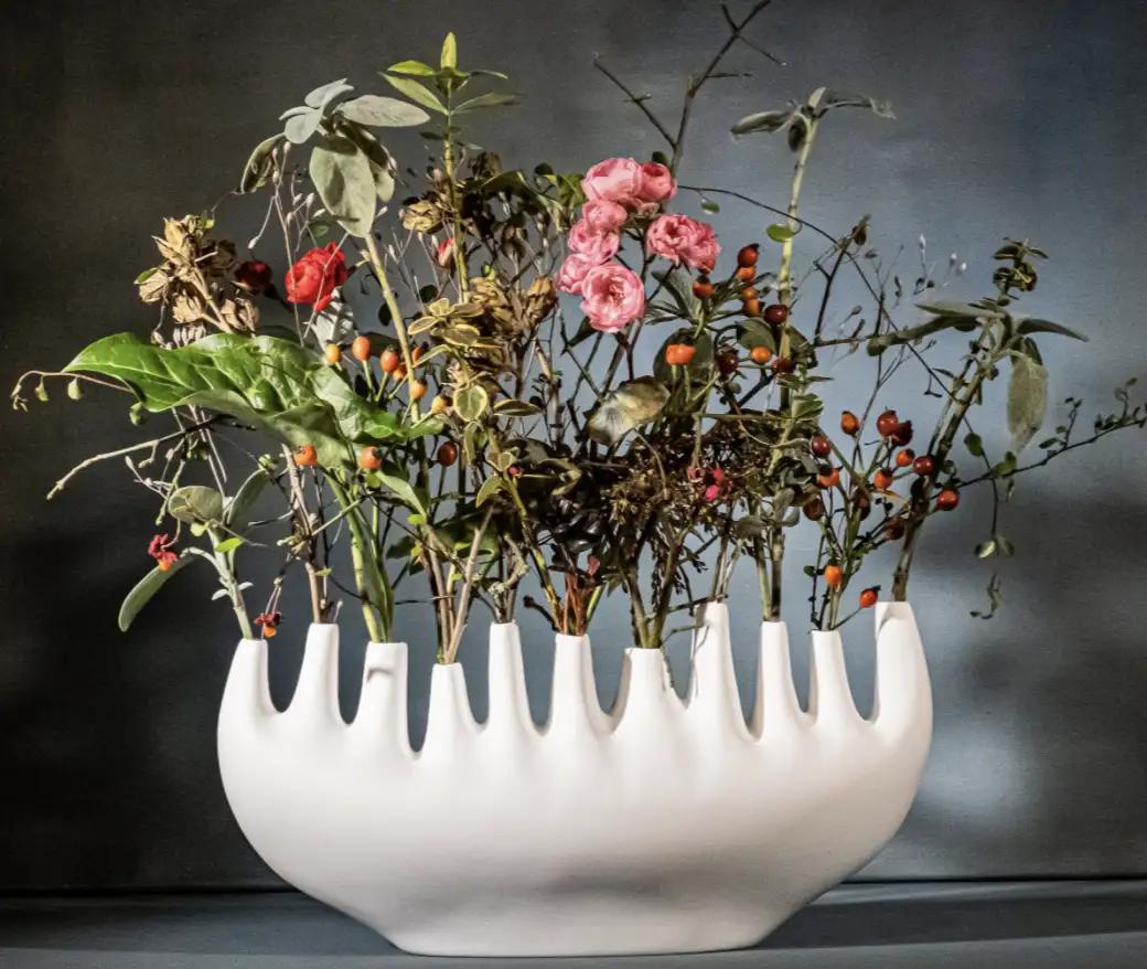 Vase Rhizome
