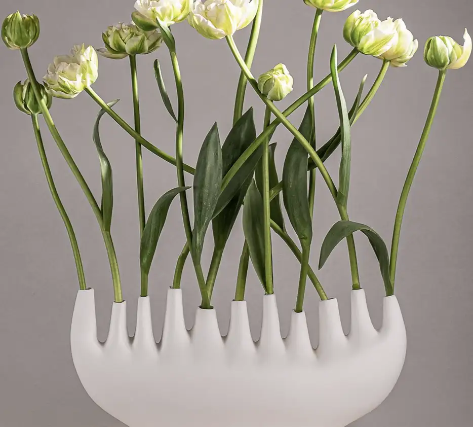Vase Rhizome