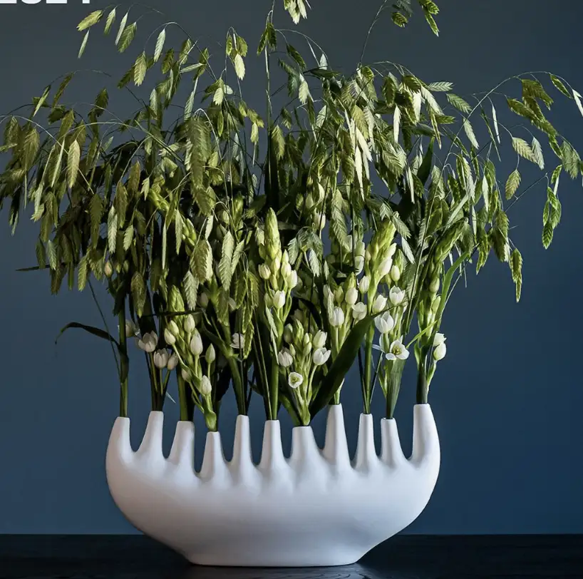 Vase Rhizome